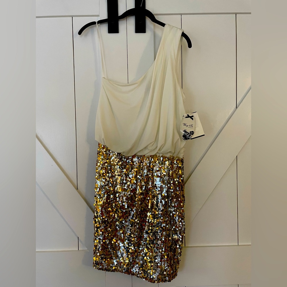 Way-In Clothing Company dress. Size Medium.